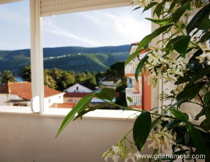 pogled sa terase